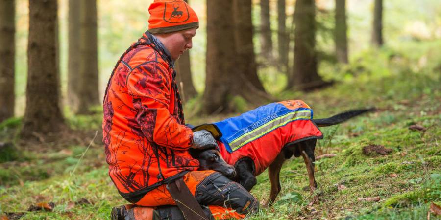 Enge Partnerschaft: In jedem dritten Jägerhaushalt in Deutschland lebt mindestens ein Hund. (Quelle: Mross/DJV)