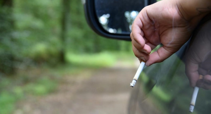 Das Waldbrandrisiko durch Zigaretten ist besonders hoch. (Quelle: Kaufmann/DJV)
