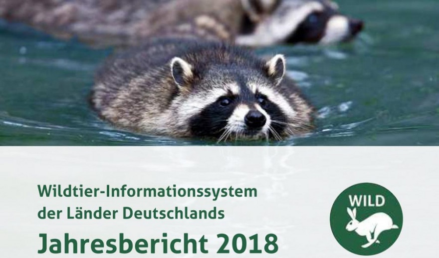 Der DJV hat heute den WILD-Jahresbericht 2018 veröffentlicht. (Quelle: DJV)