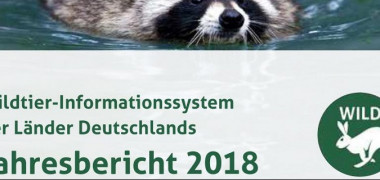 WILD-Bericht 2018: neue Monitoringdaten veröffentlicht