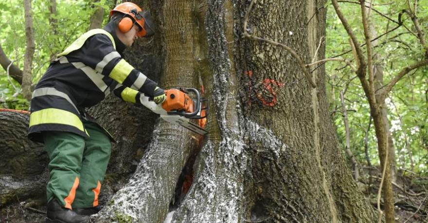 (Quelle: Berufsfeuerwehr München)