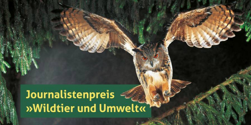 Der DJV vergibt den Journalistenpreis