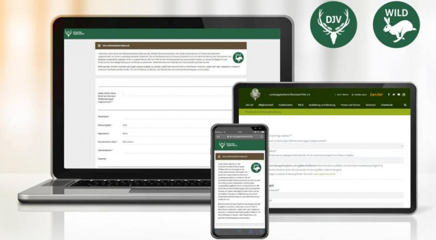 Über die Seite portal.jagdverband.de können Revierinhaber ihre Monitoring-Ergebnisse jetzt online erfassen. (Quelle: Canva/DJV)