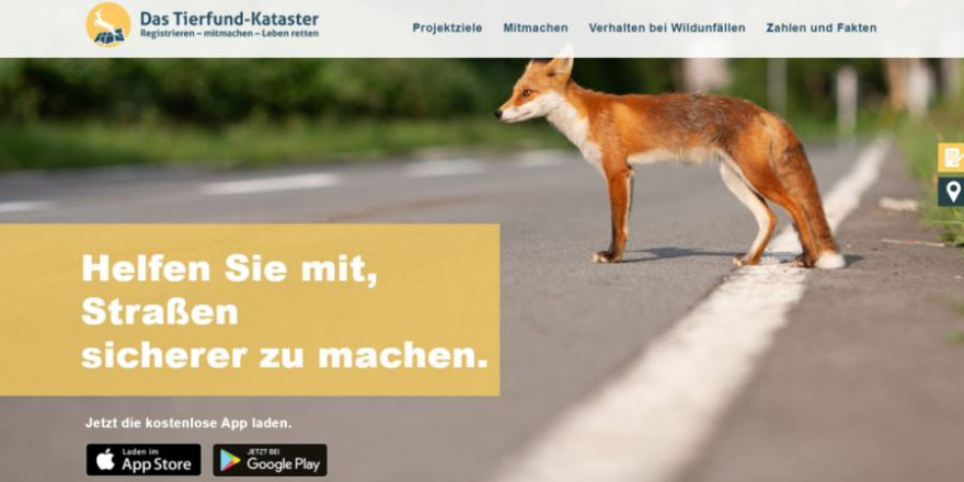 Die Seite Tierfund-Kataster hat ein neues Design erhalten. (Quelle: DJV) 