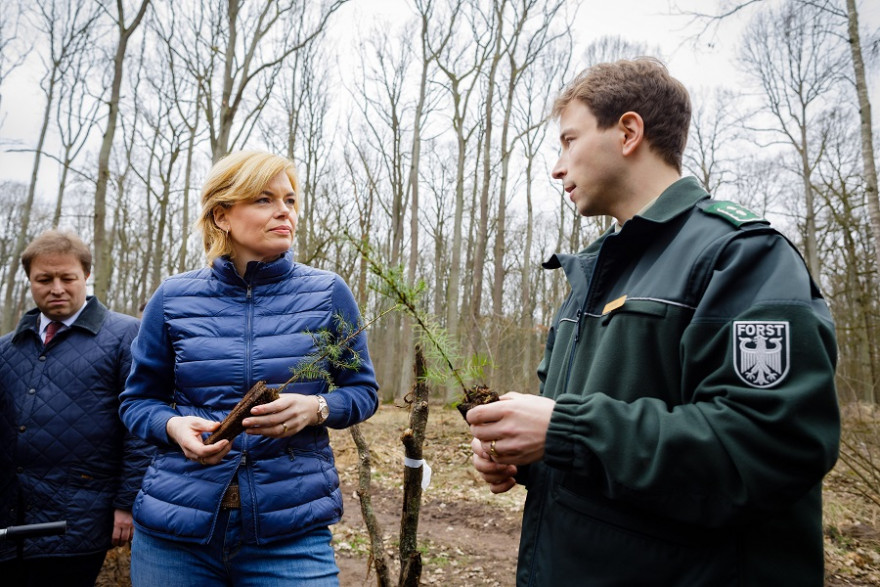 Bundesministerin Julia Klöckner informiert sich am Internationalen Tag des Waldes im brandenburgischen Nauen über den Zustand des Waldes.