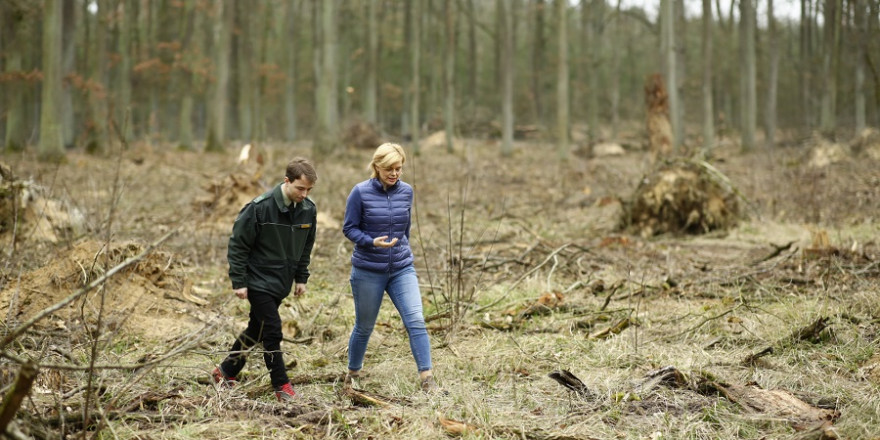 Bundesministerin Julia Klöckner informiert sich am Internationalen Tag des Waldes im brandenburgischen Nauen über den Zustand des Waldes. (Quelle: BMEL/Photothek)