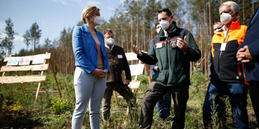Bundeswaldministerin Klöckner besichtigt eine Wiederbewaldungsfläche in Sachsen-Anhalt am Rande des Nationalen Waldgipfels 2021 – hier im Gespräch mit einem Förster (© BMEL/Florian Gaertner/photothek.net)