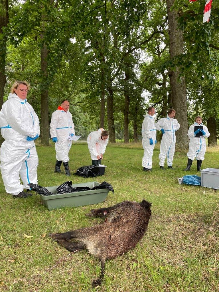 Impression von der ASP-Großübung (Quelle: Nds. Ministerium für Ernährung, Landwirtschaft und Verbraucherschutz)