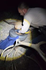 Wildlife Officer Dawson Swanson versucht den Reifen durchzusägen (Foto: Pat Hemstreet)