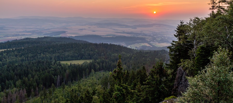 Der deutsche Wald (I): Nachhaltig aus Tradition