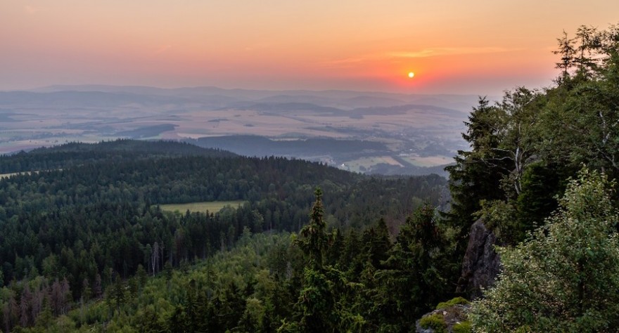 Wald im Sonnenuntergang