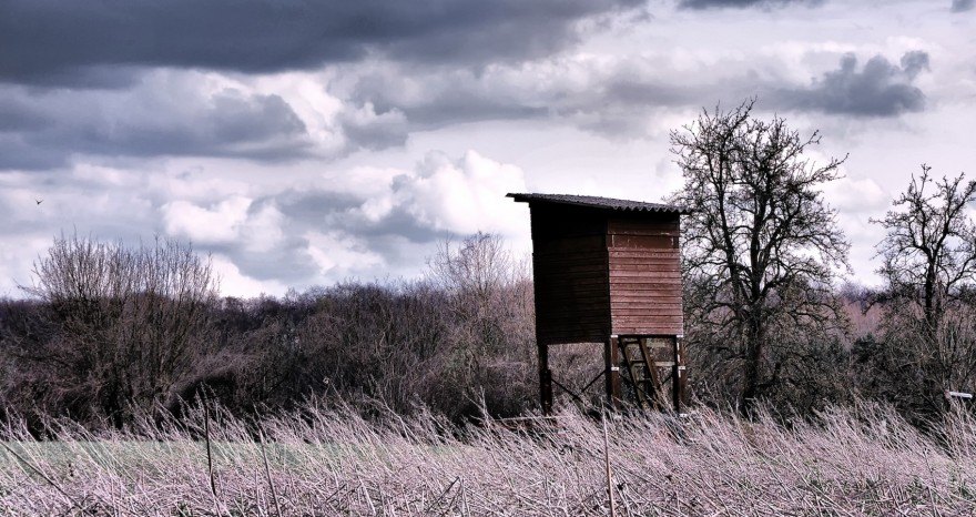 Hochsitz mit grauen Wolken