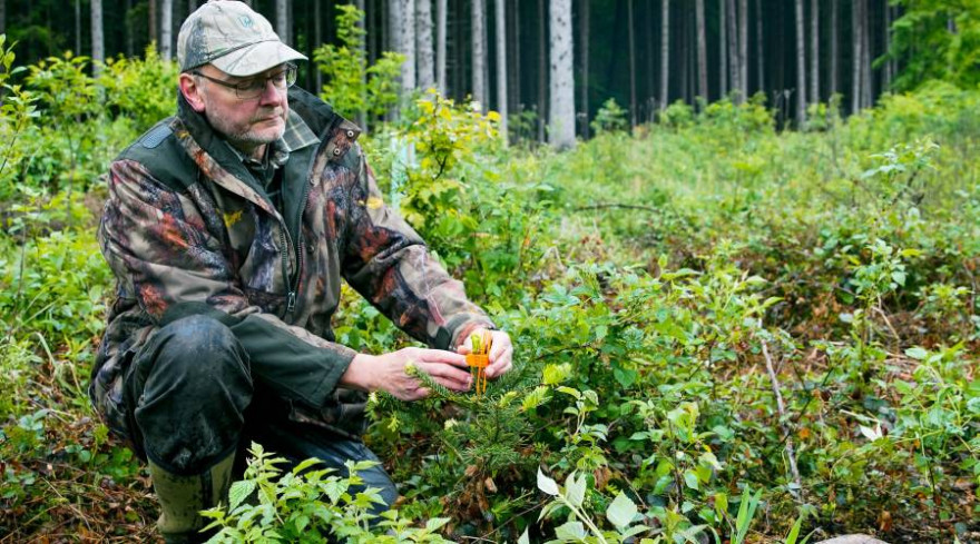 Die landwirtschaftliche Pflege und der Schutz des Waldes gehören zu den Aufgaben von Jäger Hermann (Foto: obs/ZDF/Marcel Martschoke)