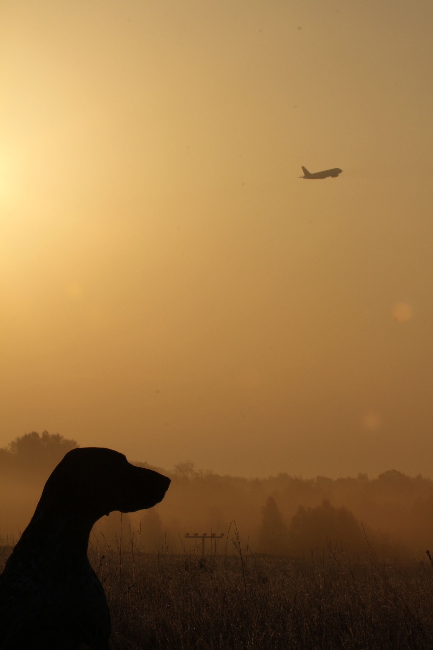 Abendstimmung am Köln-Bonner Flughafen