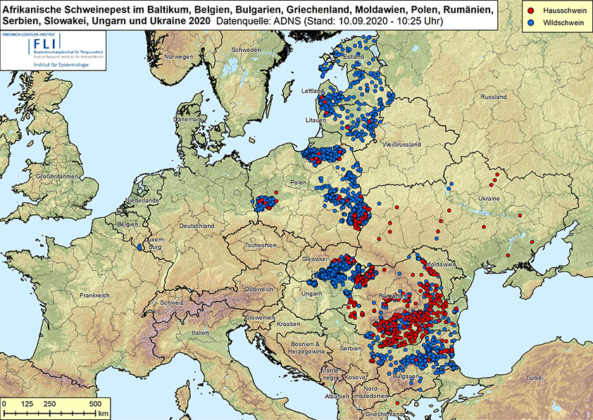 Karte: ASF  (© Friedrich-Loeffler-Institut)