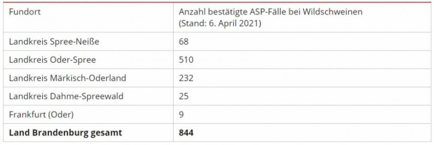 Quelle: Ministerium für Soziales, Gesundheit, Integration und Verbraucherschutz des Landes Brandenburg (MSGIV), Stand: 06. April 2021