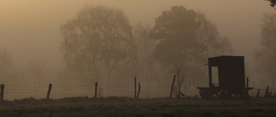 Jagdkanzel im Nebel