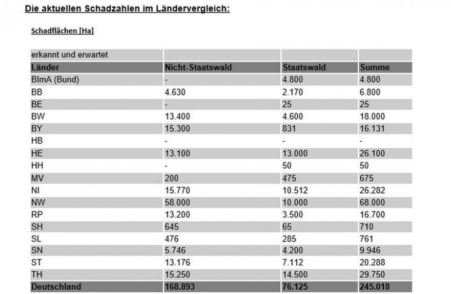 BMEL_Waldschaden-Tabelle_1