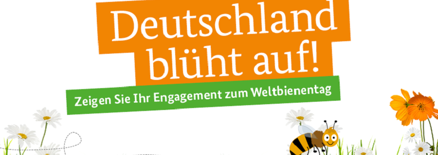 Bundesministerin Klöckner legt Aktion „Bienen füttern“ neu auf