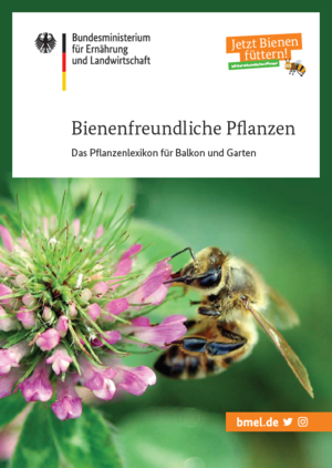 Sie sind noch auf der Suche nach geeigneten Pflanzen? In unserer Broschüre stellen wir eine Auswahl von mehr als 100 Pflanzen vor, die besonders bestäuberfreundlich und für unterschiedliche Standorte geeignet sind. Quelle: BMEL