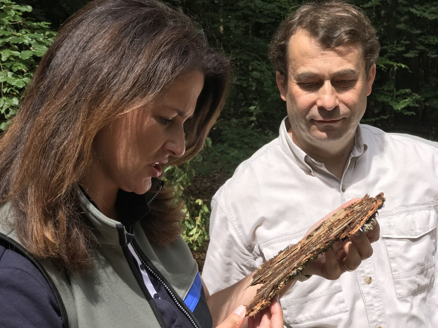 Landwirtschaftsministerin Michaela Kaniber mit Waldbesitzer-Präsident Josef Ziegler