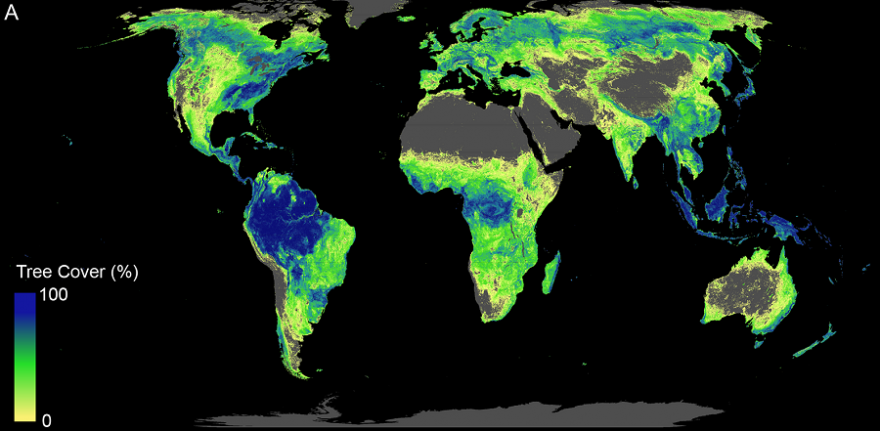 Gesamte verfügbare Fläche, auf der Bäume wachsen könnten (aktueller Waldbestand und für Wiederaufforstung geeignete Fläche). (Bild: Crowther Lab / ETH Zürich)