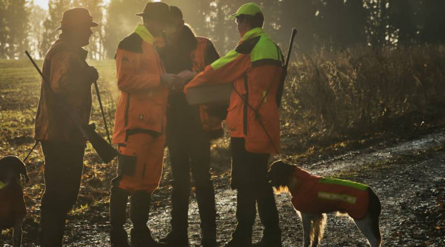 In der Nähe von Höxter organisiert Revierpächter Tobias Birwe eine Drückjagd mit 25 Schützen auf Rehwild und Schwarzwild (Foto: DMAX)