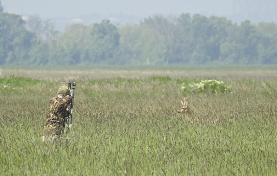 Bogenjäger auf der Jagd auf Rehwild