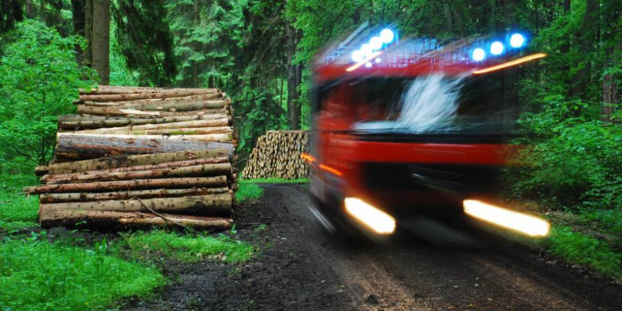 Einsatzfahrt der Feuerwehr im Wald. Hier ist Ortskenntnis gefragt, um schnell sicher an die Einsatzstelle zu gelangen. (Foto: Niedersächsische Landesforsten)