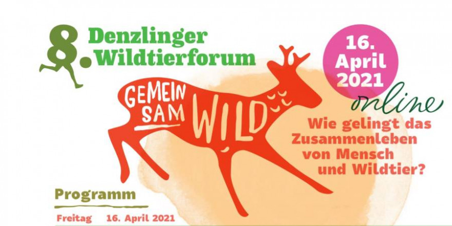 Logo des 8. Denzlinger Wildtierforums (Quelle: Screenshot)