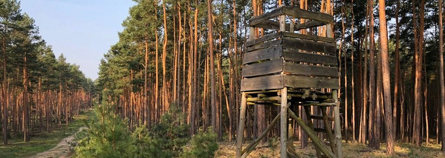 Drückjagdböcke und Hundeschutzwesten für RLP