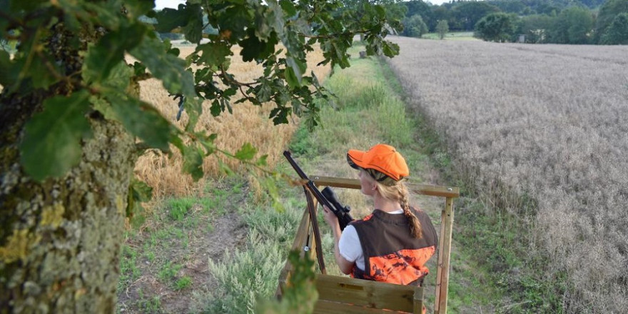 Der Deutsche Jagdverband empfiehlt Jägern, grundsätzlich nur von erhöhten Einrichtungen, etwa Hochsitzen, zu schießen. (Quelle: Kaufmann/DJV)