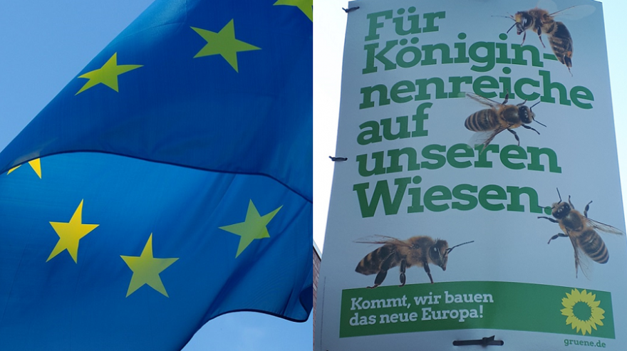 Große Zuwächse der Grünen bei der Europawahl