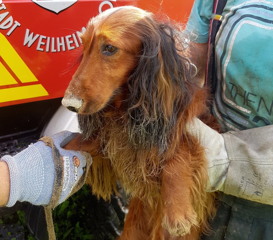 Fotos: Freiwillige Feuerwehr Weilheim 