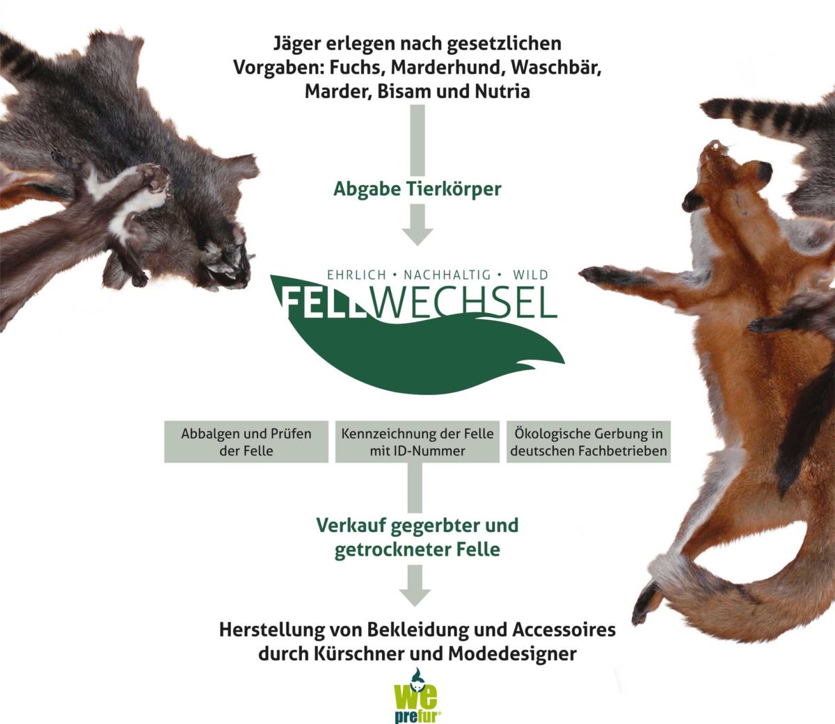 Quelle: Fellwechsel GmbH