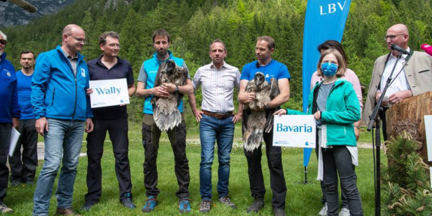 Taufe der Bartgeier Wally und Bavaria (Foto: Hansruedi Weyrich/LBV)