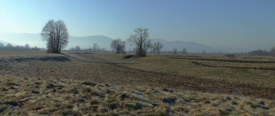 Lebensraum des Goldschakals, Foto: Hatlauf