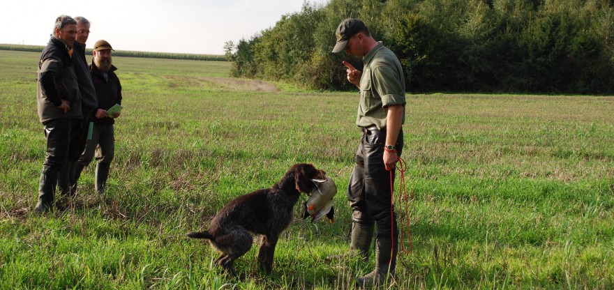 Jagdhunde-Prüfung mit der Ente