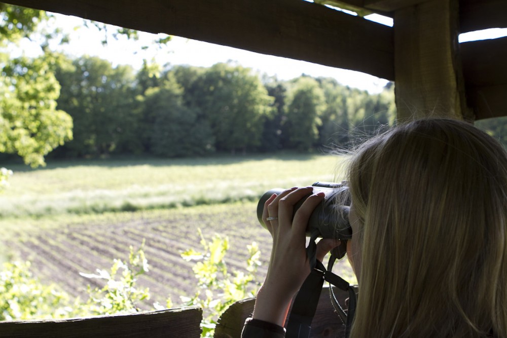 Fernglas im Hochsitz