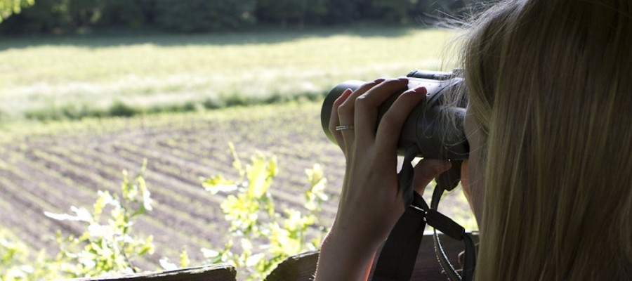 Jahresrückblick für Jagd und Natur: April 2017