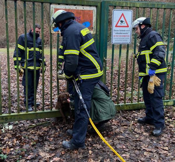 Mittels eines hydraulischen Spreizers konnte der Welpe aus seiner misslichen Lage befreit werden (Bildquelle: Feuerwehr Herdecke)