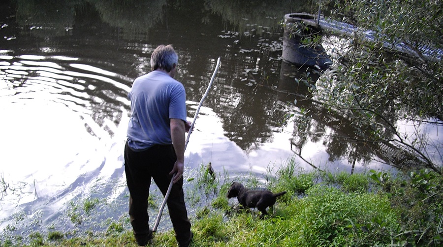 Hundeausbildung mit der Reizangel am Gewässer, Foto: Joachim Orbach