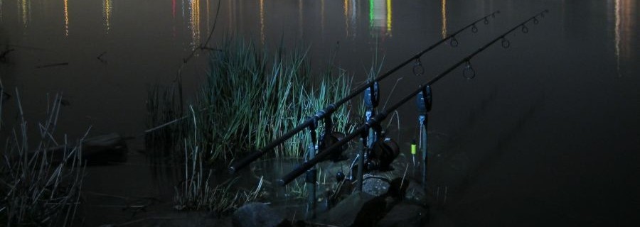 „Streetfishing“ begeistert junge Menschen fürs Angeln