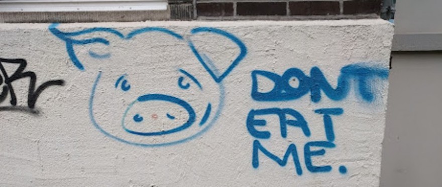 Anti-Fleisch Graffiti