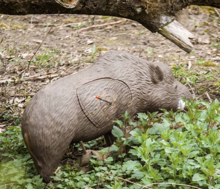 3-D-Attrappe eines Wildschweins zum Übungsschießen (Foto: Falk Hennings)