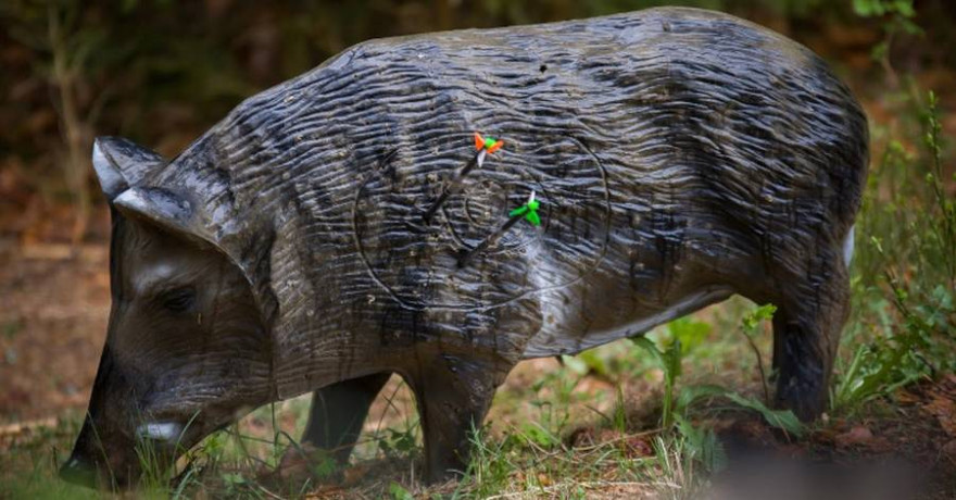 Bogenjäger müssen in der Lage sein mit jedem Jagdpfeil konstant eine Trefferfläche in der Größe eines Bierdeckels treffen zu können (Foto: Falk Hennings)