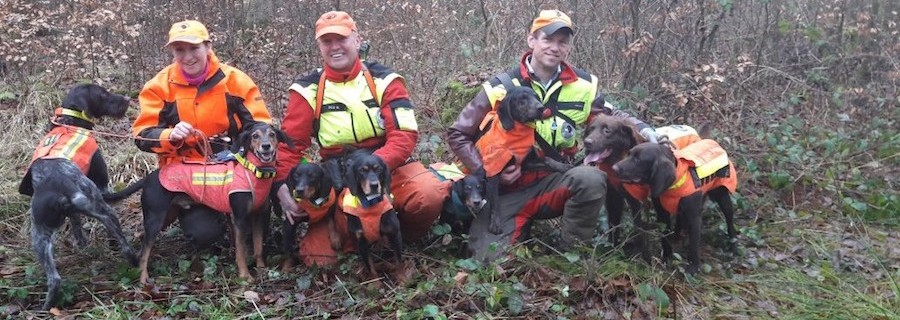 Gedanken eines Hundeführers nach der Drückjagd-Saison