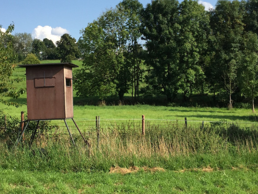 Hochsitz am Wiesenrand