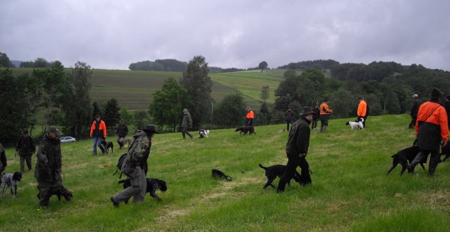 Jagdhunde-Ausbildung