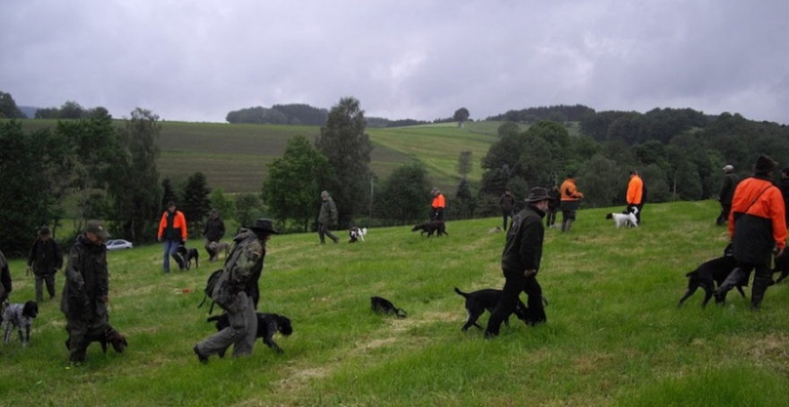 Jagdhunde-Lehrgang